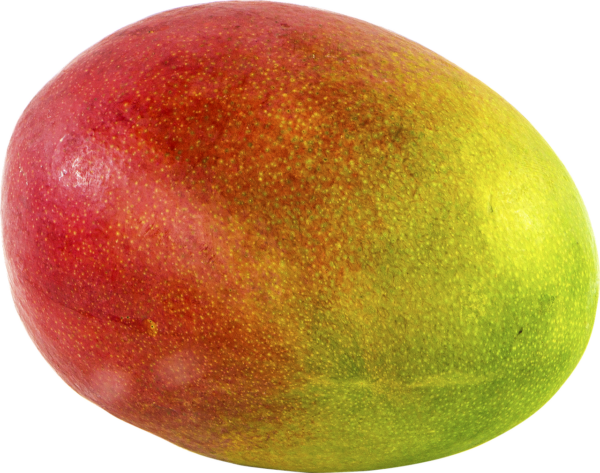 mango, fruit, png-1218147.jpg